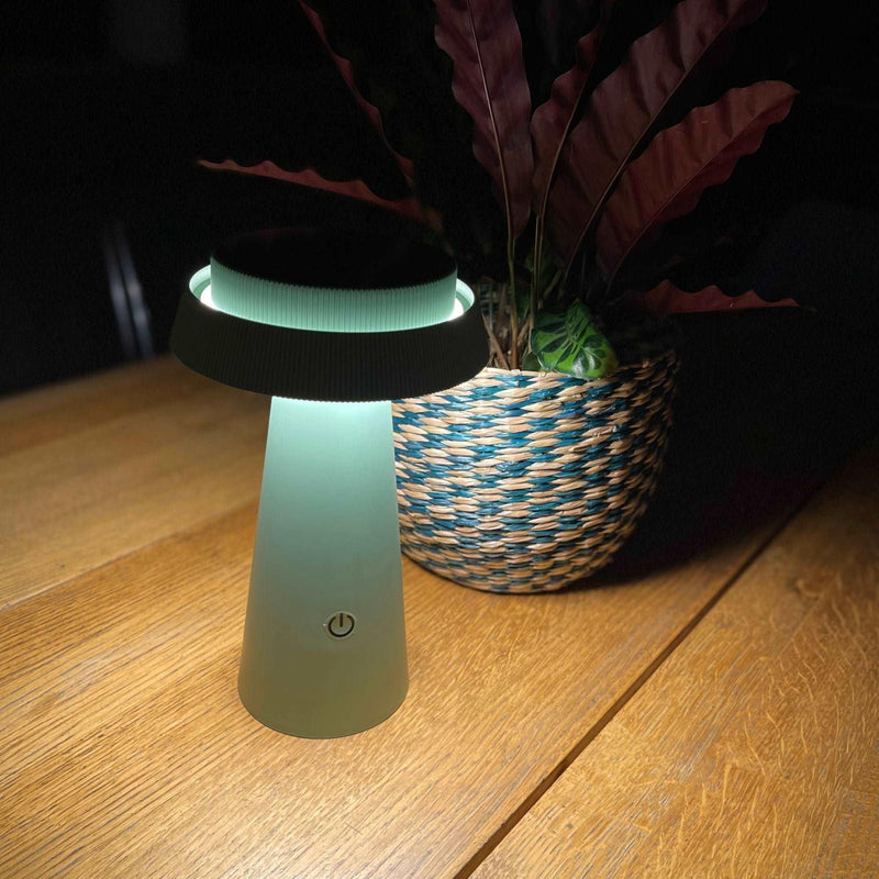 Lampe de table Led solaire ROSA