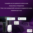 Passerelle wifi compatible Smartphone, Alexa et Google Home pour gamme 2.4GHz - Mobalu Boutique